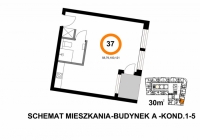 Apartament nr. M1-37A